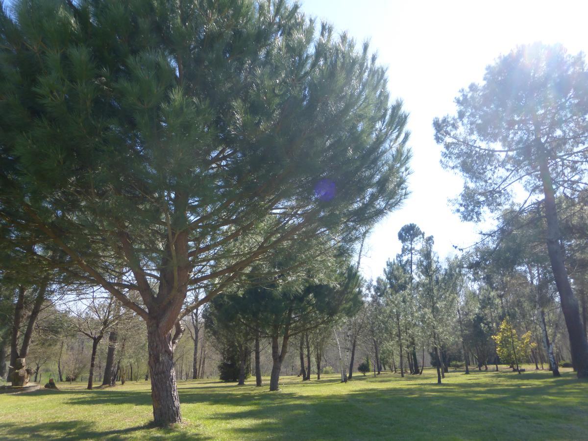 Gite Les Pins Perdus Saint-Ciers-d'Abzac Εξωτερικό φωτογραφία